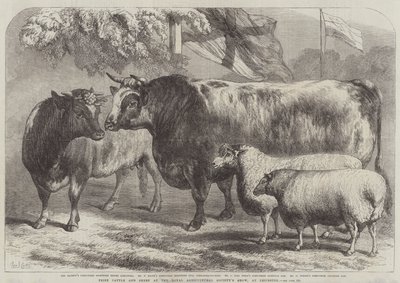 Bovini e pecore premiati alla mostra della Royal Agricultural Society, a Leicester da Samuel John Carter